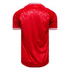 Denmark Home Shirt 2024/2025
