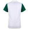 Palmeiras Away Shirt 2025/2026