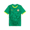 Senegal Away Shirt 2024/2025