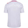Denmark Away Shirt 2024/2025