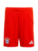(KIDS) Bayern München HOME KIT 2025/26
