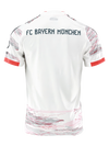 FC Bayern München Away Shirt 2025/2026