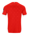 FSV Mainz 05 Home Shirt 2026/2027
